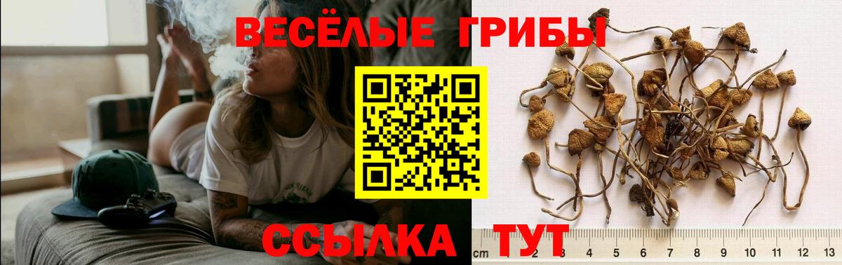 Псилоцибиновые грибы Psilocybine cubensis  Галлюциногенные грибы Cubensis  Вход с VPN  Когалым 
